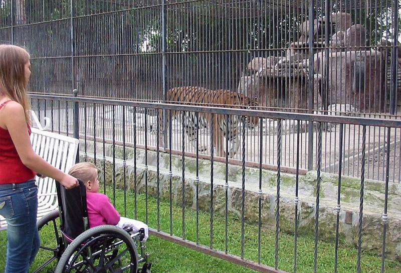 6-28.JPG - At the local zoo.